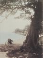 Japanischer Photograph um 1890: Uferpromenade des Hakone-Sees