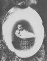 Obernetter, Johann Baptist: Porzellanphotographie an einem Grabstein im Alten S�dfriedhof M�nchen
