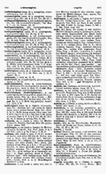 Georges-LDHW Bd. 2 S. 3301