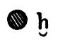 Fu�noten