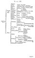 myth0006