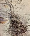 Rubens, Peter Paul: Baum mit Brombeergestr�pp