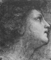 Raffael: Madonna mit dem Fisch, Studie, Kopf des Erzengels Raphael