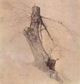 Verhas, Theodor: Baumstudie