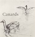 Toulouse-Lautrec, Henri de: Illustration zu Jules Renards »Histoires naturelles«, Enten