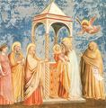 Giotto di Bondone: Fresken in der Arenakapelle in Padua, Szene: Darbringung im Tempel