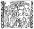D�rer, Albrecht: Illustration zum »Der Ritter vom Turn«, Szene: Eva i�t den Apfel