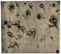 Leonardo da Vinci: Botanische Studien, u.a. Hundrose, Veilchen