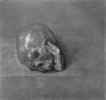 D�rer, Albrecht: Studie zum »Hl. Hieronymus«: Totensch�del