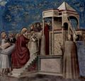 Giotto di Bondone: Fresken in der Arenakapelle in Padua, Szene: Pr�sentation Marias im Tempel