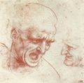Leonardo da Vinci: Zwei K�pfe