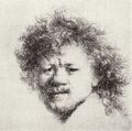 Rembrandt Harmensz. van Rijn: Selbstportr�t mit langem, gestr�ubtem Haar
