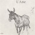 Toulouse-Lautrec, Henri de: Illustration zu Jules Renards »Histoires naturelles«, Der Esel