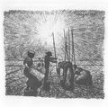 Morgner, Wilhelm: Fr�hjahrssonne