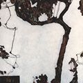 Schiele, Egon: Pflaumenbaum