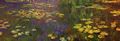 Monet, Claude: Nymph�as (Seerosen)
