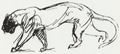 Steinlen, Theophile Alexandre: Katzenzeichnung