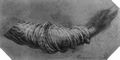 Leonardo da Vinci: Draperiestudie zur »Hl. Anna Selbdritt«, Arm