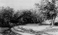 Furnerius, Abraham: Waldweg