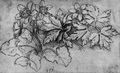 Leonardo da Vinci: Bl�hende Anemonen