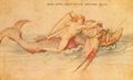 D�rer, Albrecht: Ambraser Kunstbuch: Arion