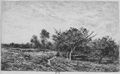 Daubigny, Charles-Fran�ois: Apfelb�ume an Auvers