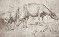 Rubens, Peter Paul: K�he