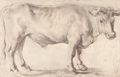 Rubens, Peter Paul: Ochse