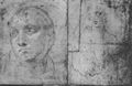 Raffael: Madonna mit dem Baldachin, Studie, Kopf und Halbfigur des Hl. Bernhard