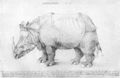 D�rer, Albrecht: Rhinozeros