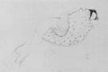 Klimt, Gustav: Auf dem Bauch liegender weiblicher Halbakt