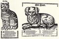 Ulrich d. �., Boas: Die Katze und der Hund streiten um das Fressen