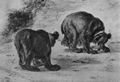 Saftleven, Cornelis: B�ren