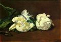 Manet, Edouard: Stillleben, Wei�e Pfingstrosen