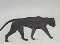 Steinlen, Theophile Alexandre: Katzenzeichnung