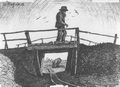 Morgner, Wilhelm: Schulte auf der Br�cke