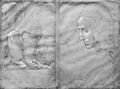 Raffael: Madonna mit dem Baldachin, Gewand- und Kopfstudie