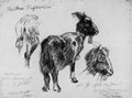 Corinth, Lovis: Ziege und Detailstudie