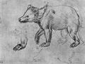 Leonardo da Vinci: Studienblatt, B�r