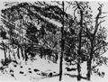 Corinth, Lovis: Vorfr�hling im Gebirge: Tal-Grund