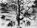 Corinth, Lovis: Baum am Walchensee