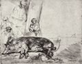 Rembrandt Harmensz. van Rijn: Das Schwein