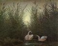 Friedrich, Caspar David: Schw�ne im Schilf (Zwei Schw�ne auf dem Weiher im Mondschein)