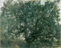 Corinth, Lovis: Eichbaum