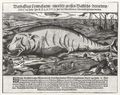 Weigel d. J., Hans: Riesiger Walfisch bei Antwerpen