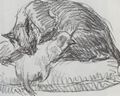 Steinlen, Theophile Alexandre: Katzenzeichnung