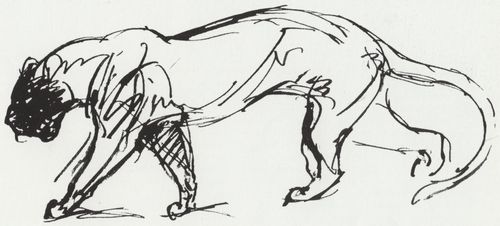 Steinlen, Theophile Alexandre: Katzenzeichnung