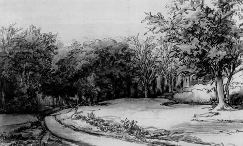 Furnerius, Abraham: Waldweg