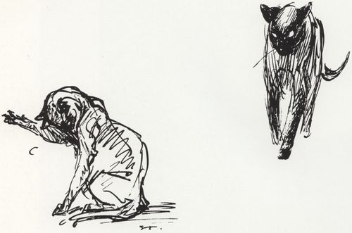 Steinlen, Theophile Alexandre: Katzenzeichnung