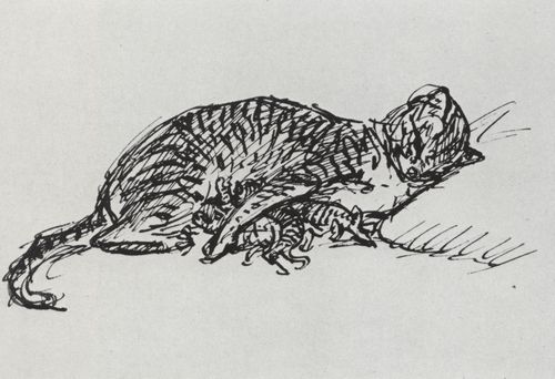 Steinlen, Theophile Alexandre: Katzenzeichnung